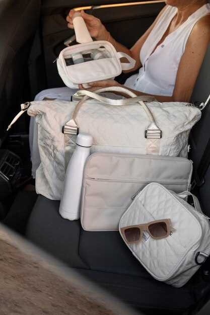 Accesorios imprescindibles para un coche nuevo Accesorios imprescindibles para un coche nuevo