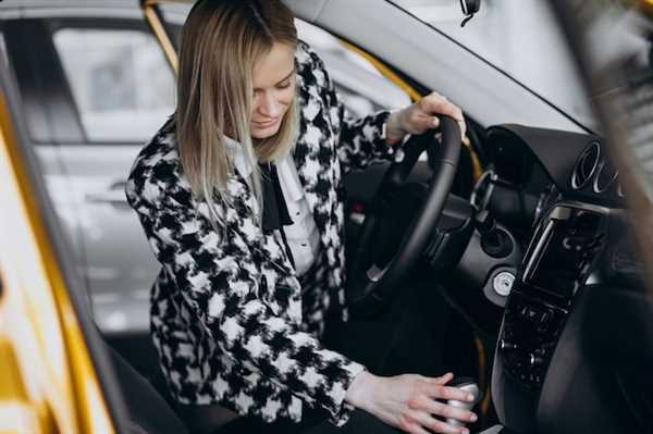 Cámaras de seguridad para la grabación continua de viajes