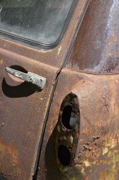 Métodos de limpieza para proteger la carrocería