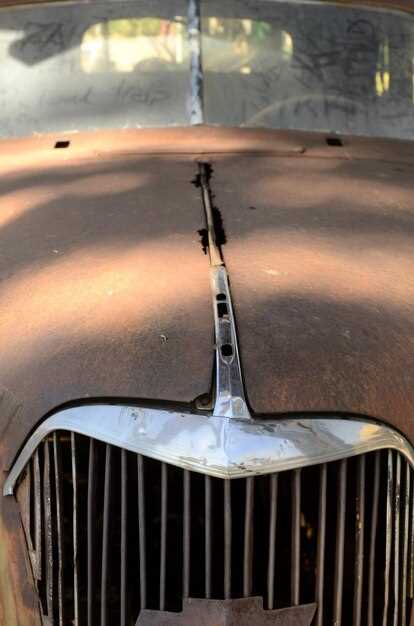 Aplicación de tratamientos anticorrosivos