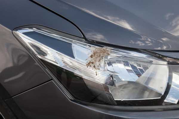 Pasos para limpiar y pulir los faros opacos